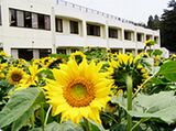 高萩それいゆ病院では作業療法士を求人募集中です。