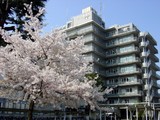 井之頭病院では医師を求人募集中です。