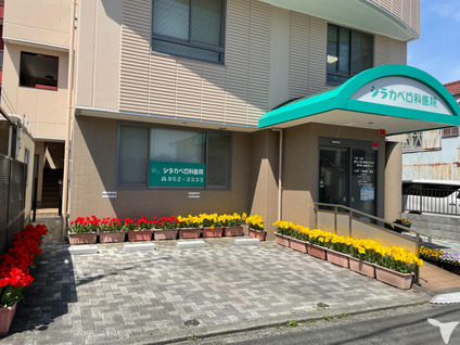 シラカベ歯科医院の歯科衛生士求人の画像（2枚目）