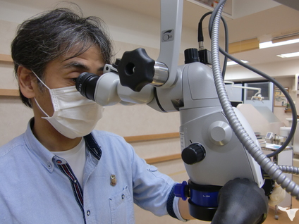 マイクロスコープ