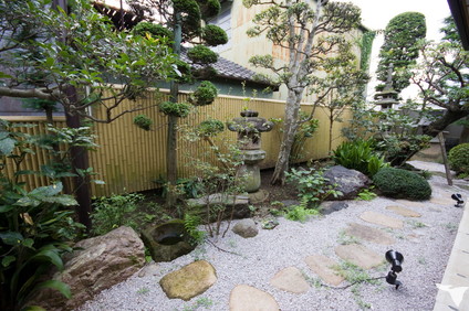 診療室から望む庭園