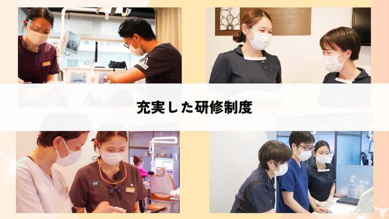 充実した研修制度