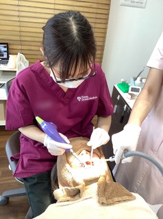 クリニックは全国8院！