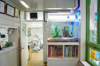 医療法人社団秀保会　五十嵐歯科医院の歯科衛生士求人の画像（4枚目）