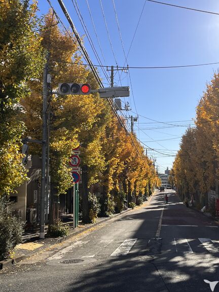 医療法人社団ファミリア松島歯科医院の歯科衛生士求人の画像（2枚目）