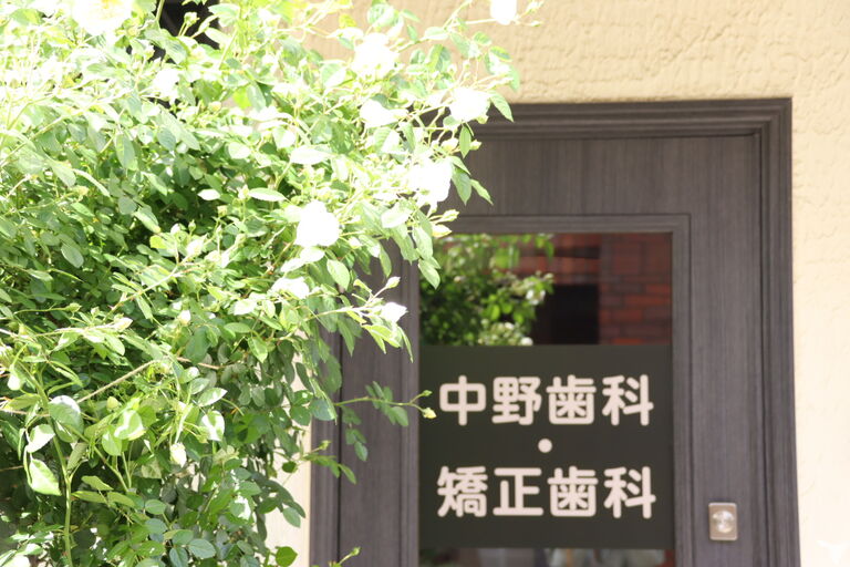 中野歯科・矯正歯科