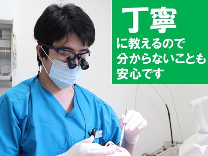 未経験でも安心！