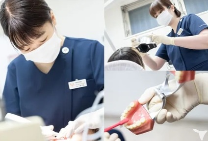 歯科衛生士業務について