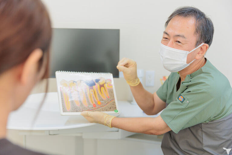 丁寧な説明