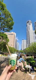 新宿中央公園
