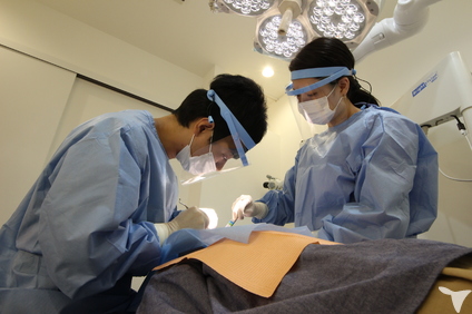 認定歯科衛生士の資格取得