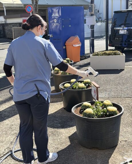 未経験でも安心
