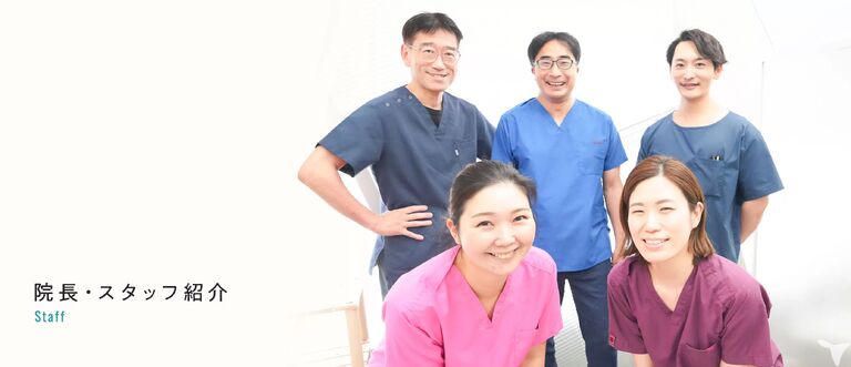 在籍歯科医師