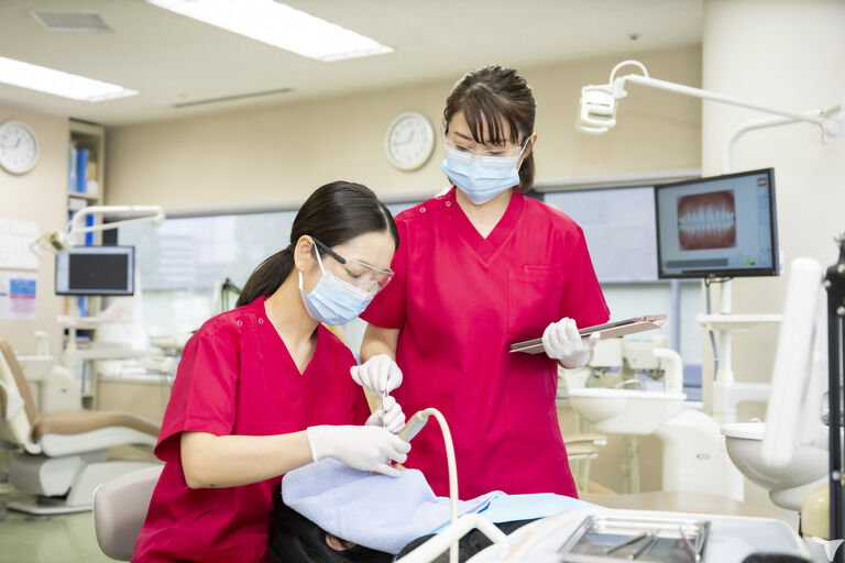 指導の先輩DHが二名在籍