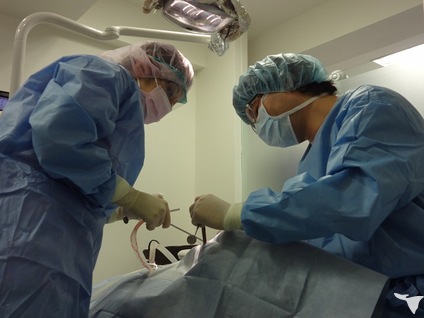 湘南横須賀インプラントセンター　斉藤歯科医院の歯科衛生士求人の画像（2枚目）