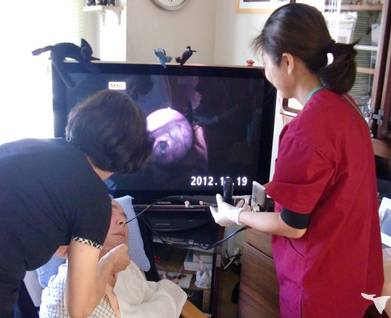 内視鏡検査も行ってます。