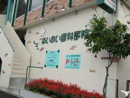 階下の花壇