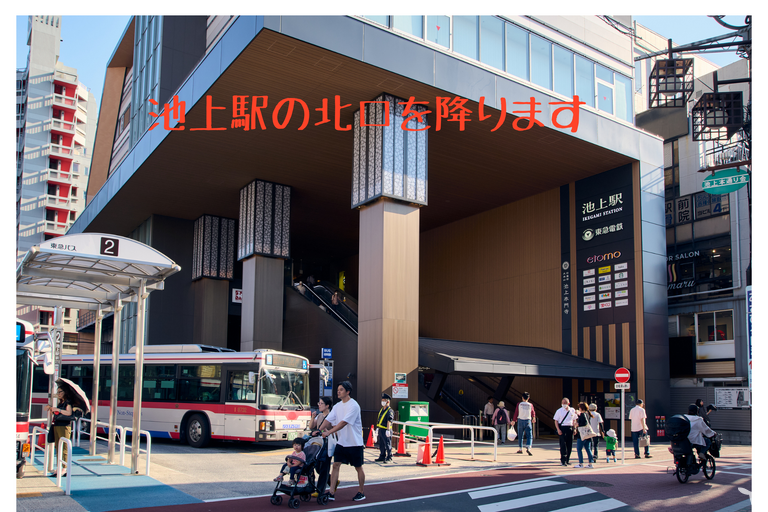 池上セントラル歯科の歯科衛生士求人の画像（4枚目）