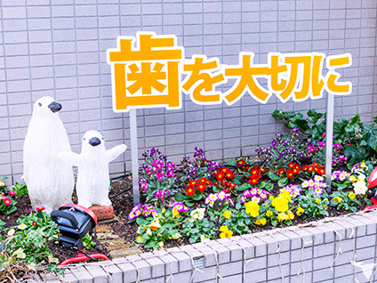 店頭の花壇が褒められます