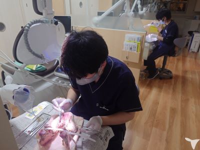 充実したＤｒカリキュラム
