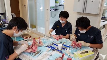 歯周外科の実習
