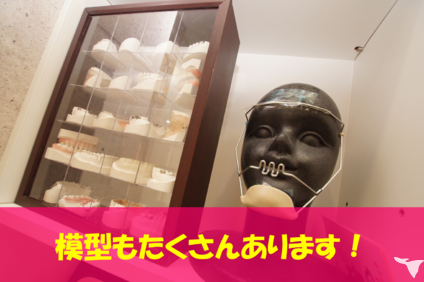 えんどう矯正歯科クリニックの歯科医師求人の画像（3枚目）