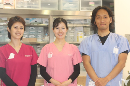 守谷市の歯科助手求人 転職 募集 茨城県 グッピー