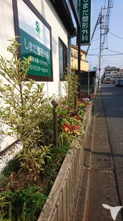 しまだ整形外科の医療事務求人の画像（3枚目）
