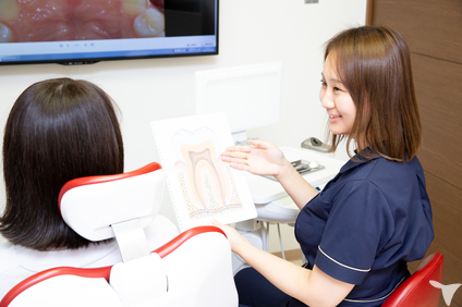 TCも目指せます！