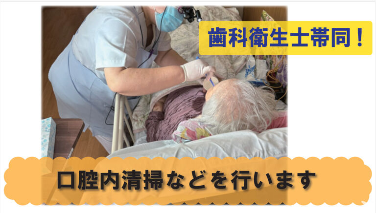 専任チームがサポート！