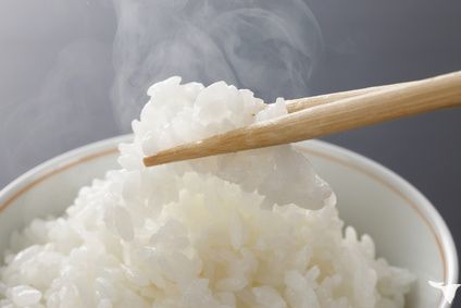 炊き立てご飯つき♪