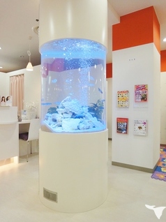 巨大な水槽