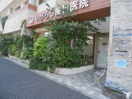 落ち着いた医院環境