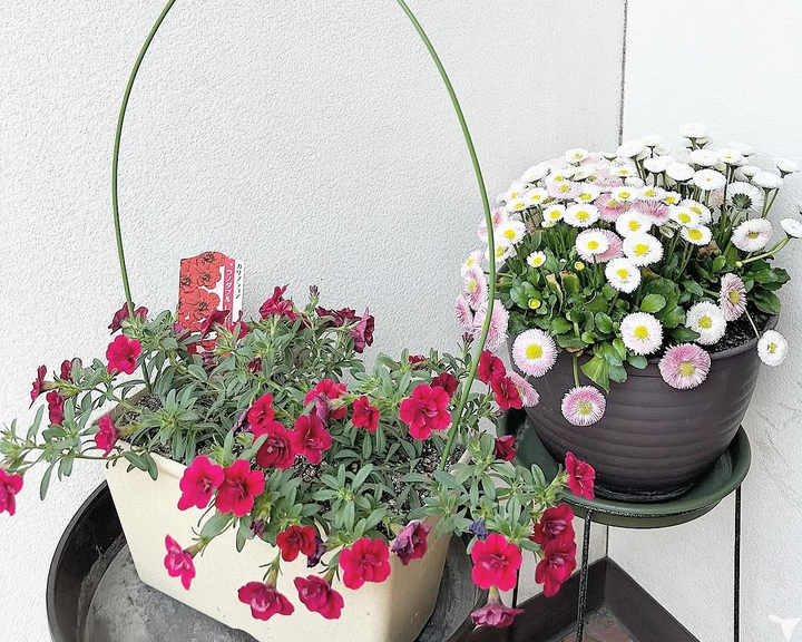 綺麗なお花でお出迎え♡