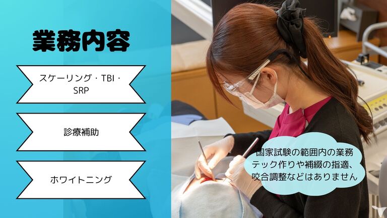 業務内容
