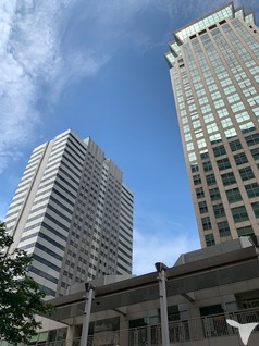 交通至便で整った街です