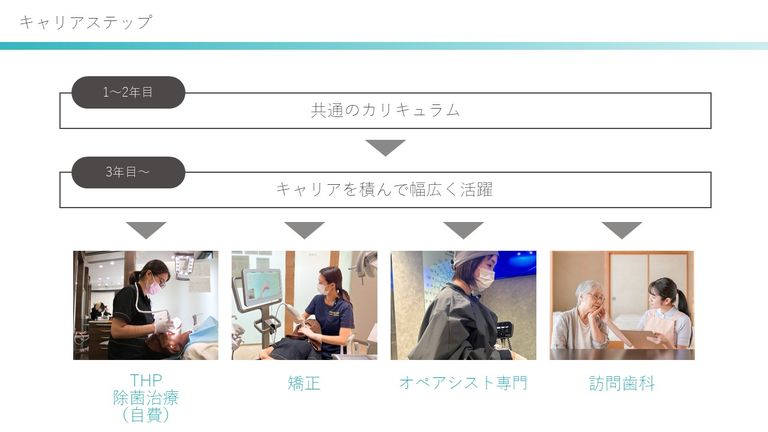 幅広いキャリアパス