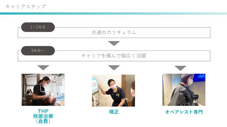幅広いキャリアパス