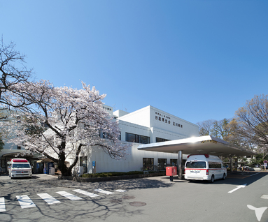 お祝金50 000円 公益財団法人 日産厚生会 玉川病院の看護師求人 正社員 常勤 グッピー