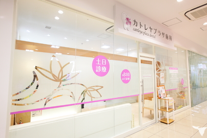 外観です
