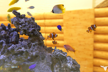 水槽