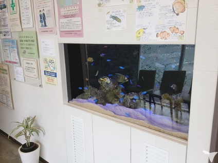 医療法人瑠友会　たつ歯科クリニックの歯科衛生士求人の画像（5枚目）