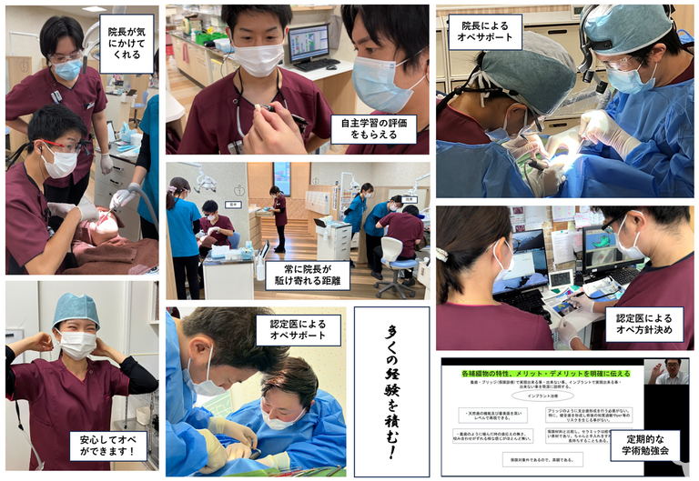 充実した教育体制