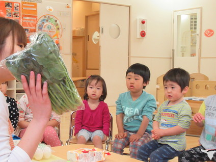 栄養素についてお勉強
