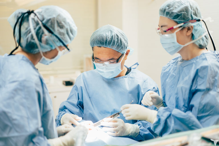 インプラント治療学べます