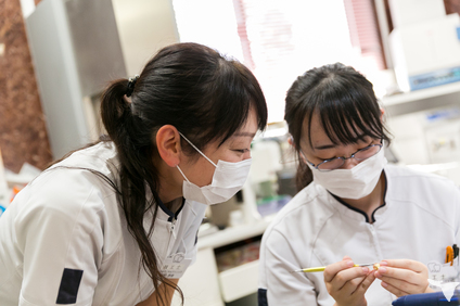 幅広い職種が活躍