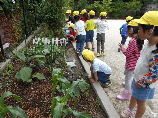 クレアナーサリー　足立さくら園の保育士求人の画像（3枚目）