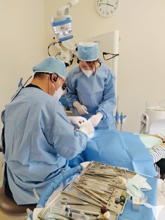 一口腔単位での治療を提供