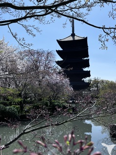 京都へ研修旅行