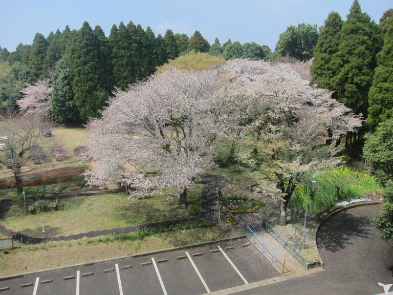 特別養護老人ホームときわ園